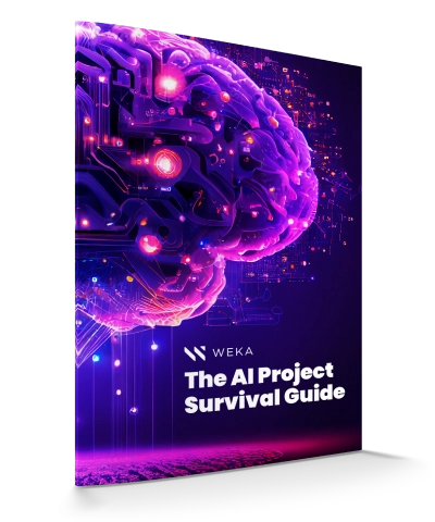 thumb-eb-ai-project-survival-guide